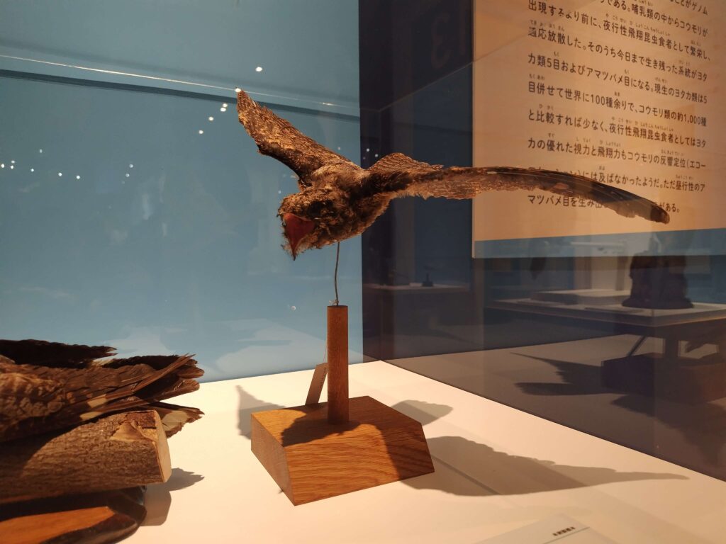 鳥展