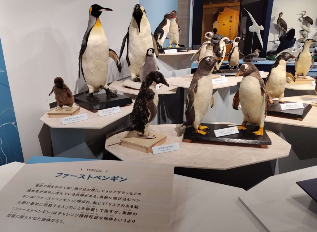 鳥展