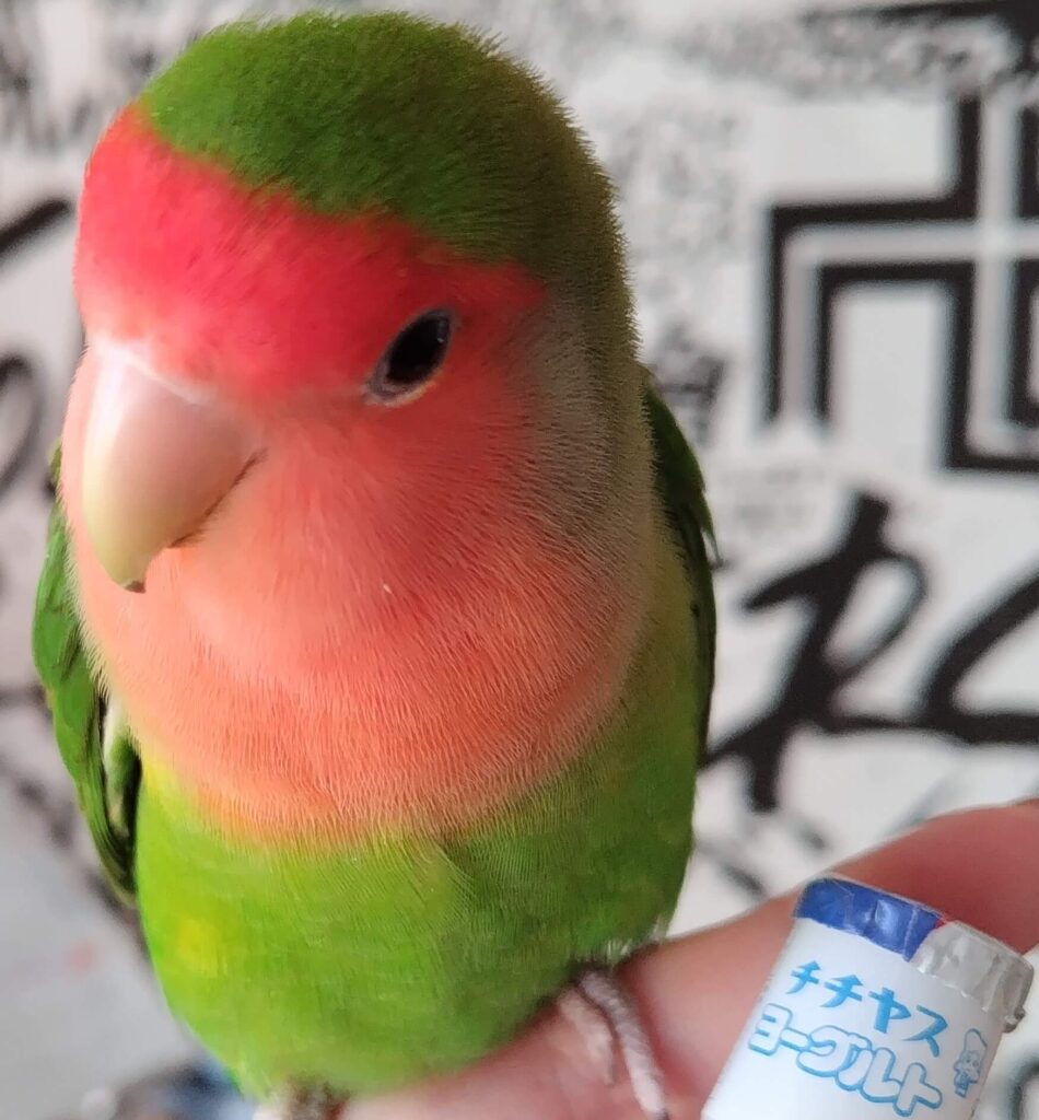 わさび
