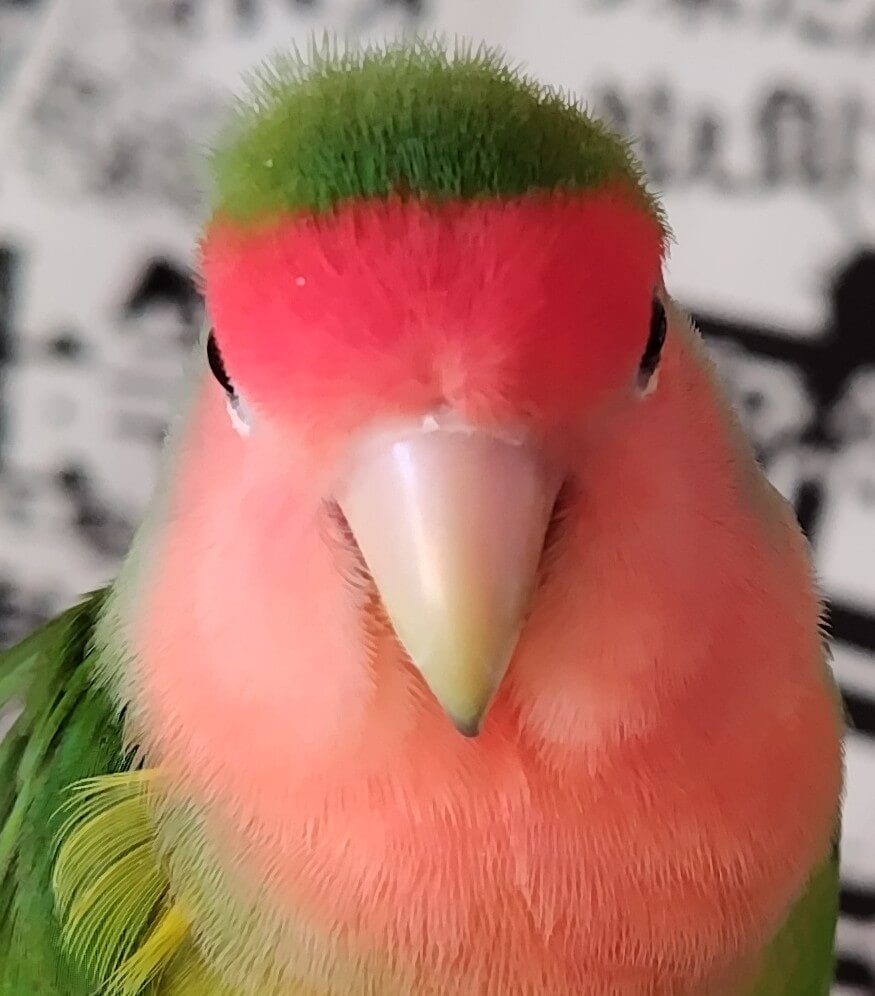 わさび