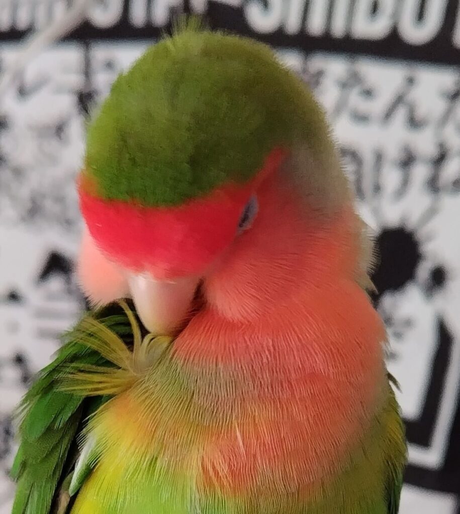 わさび