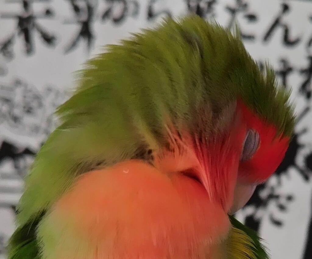わさび