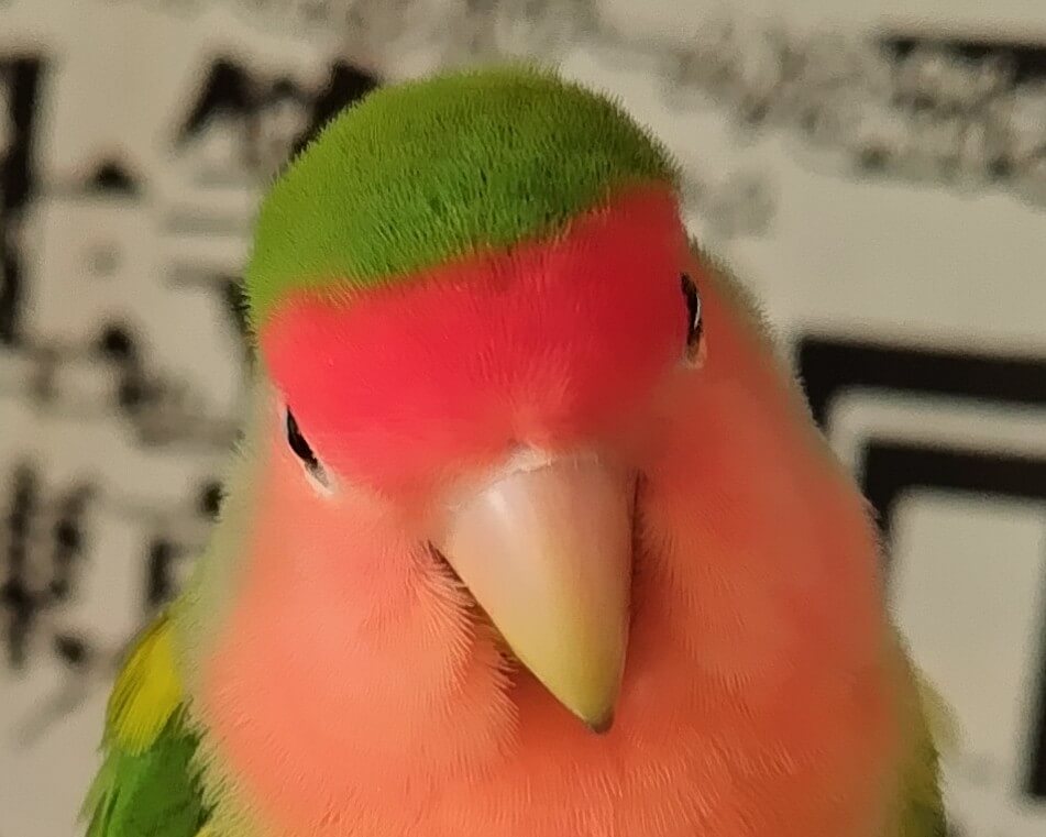 わさび
