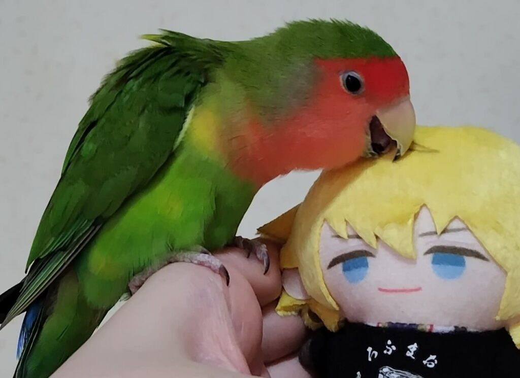 わさび