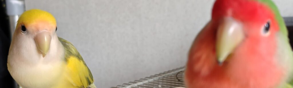 よもぎとわさび