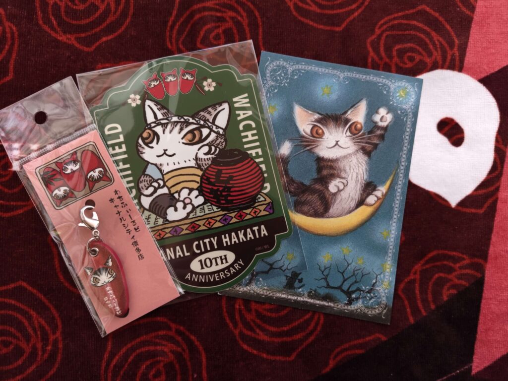 わちふぃーるど