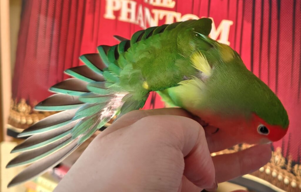 わさび