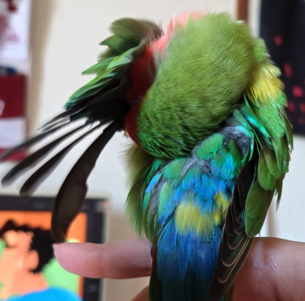 わさび