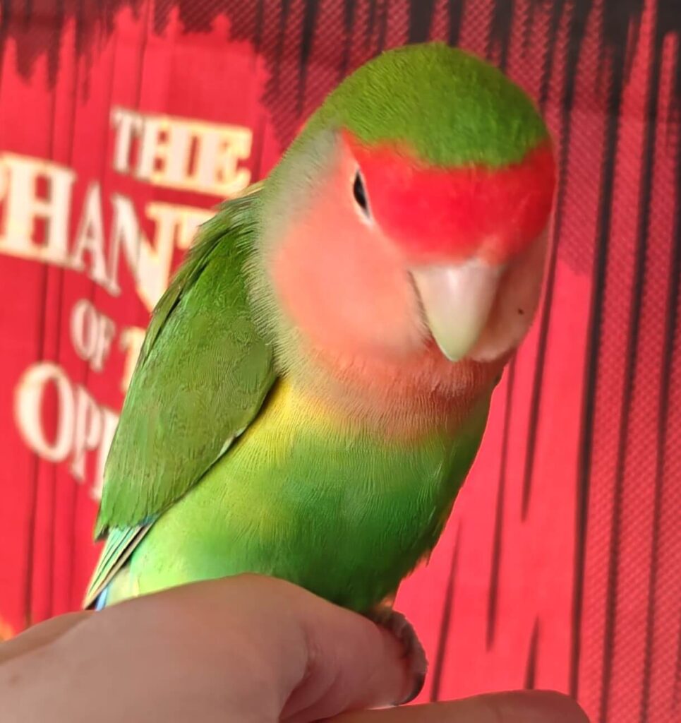 わさび