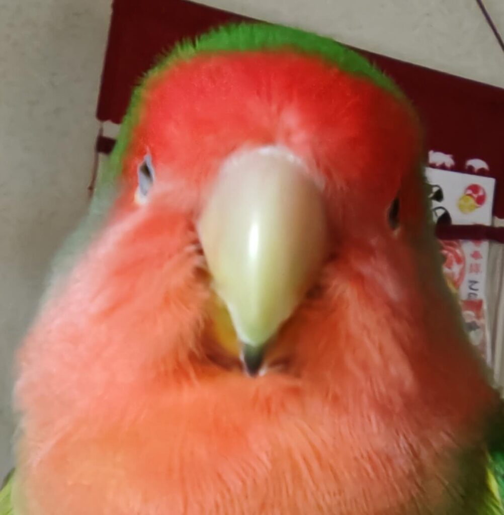 わさび